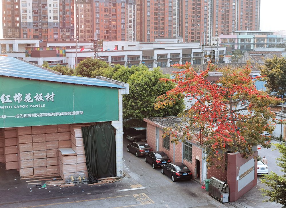 1583286173250922.jpg 紅棉花.jpg