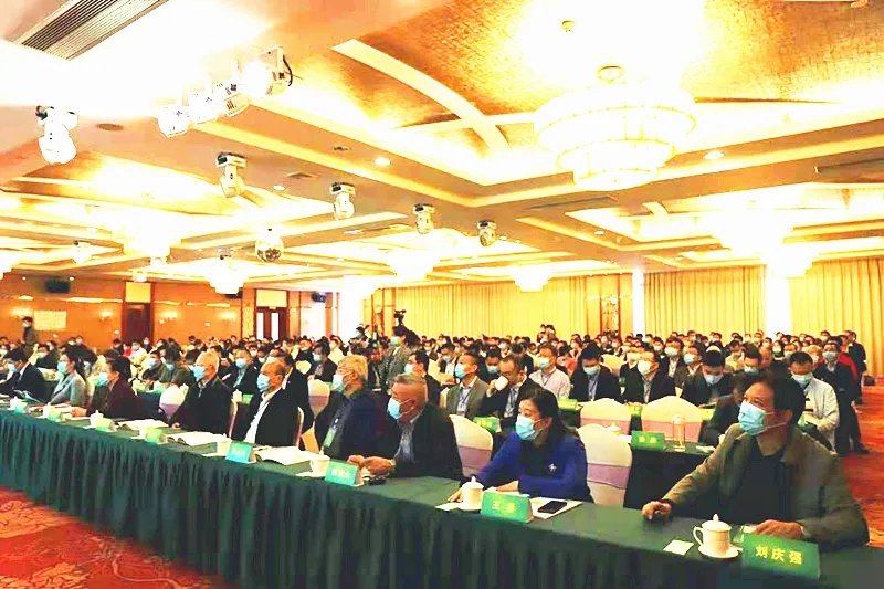 1607480461774796.jpg 7.webp.jpg