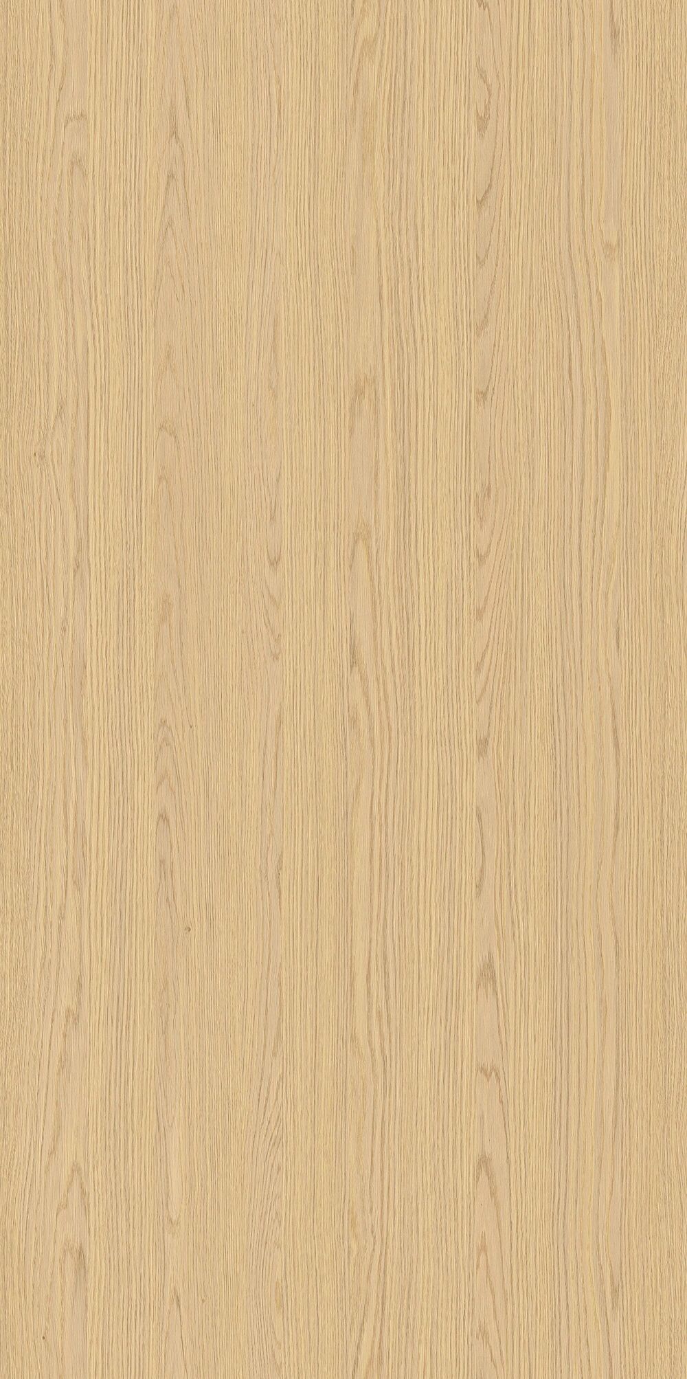 YDHTB1323  托萊多橡木